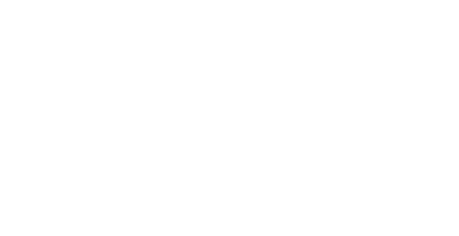 Federación Venezolana de Padel logo